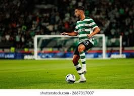 黎伊扬掏裆克里斯的裆部，裁判直接吹了夺权驱逐＂